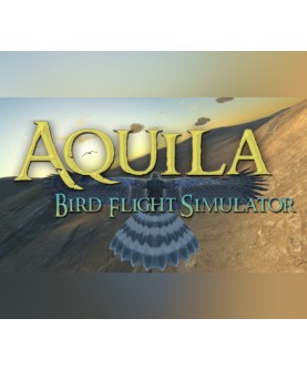 Aquila Bird Flight Simulator Steam Key EUROPE